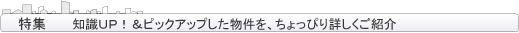 ������ӂ̒��ݓ��W